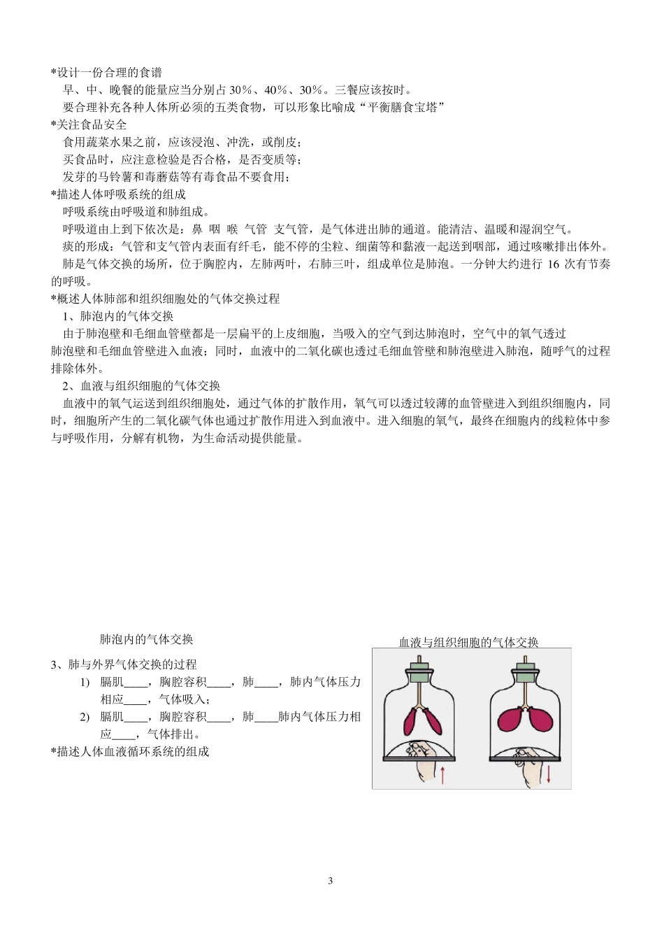 人教版生物七年级下册复习提纲_第3页