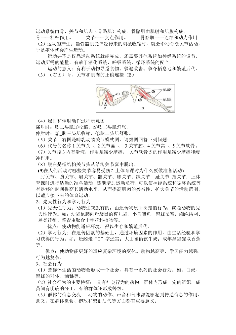 人教版生物八年级上册复习提纲_第3页