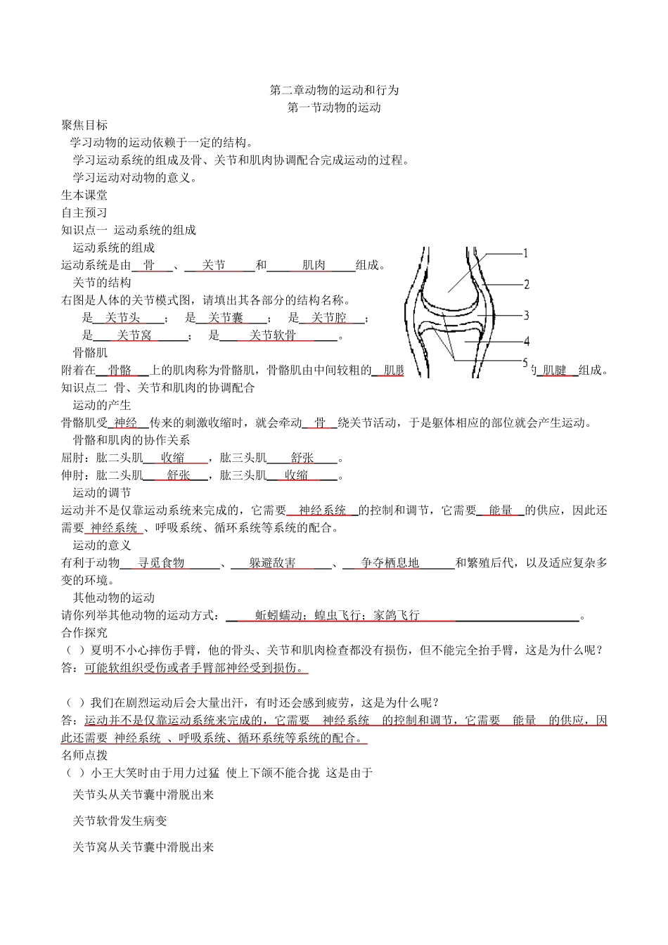 人教版生物八年级上册第二章动物的运动和行为_第1页