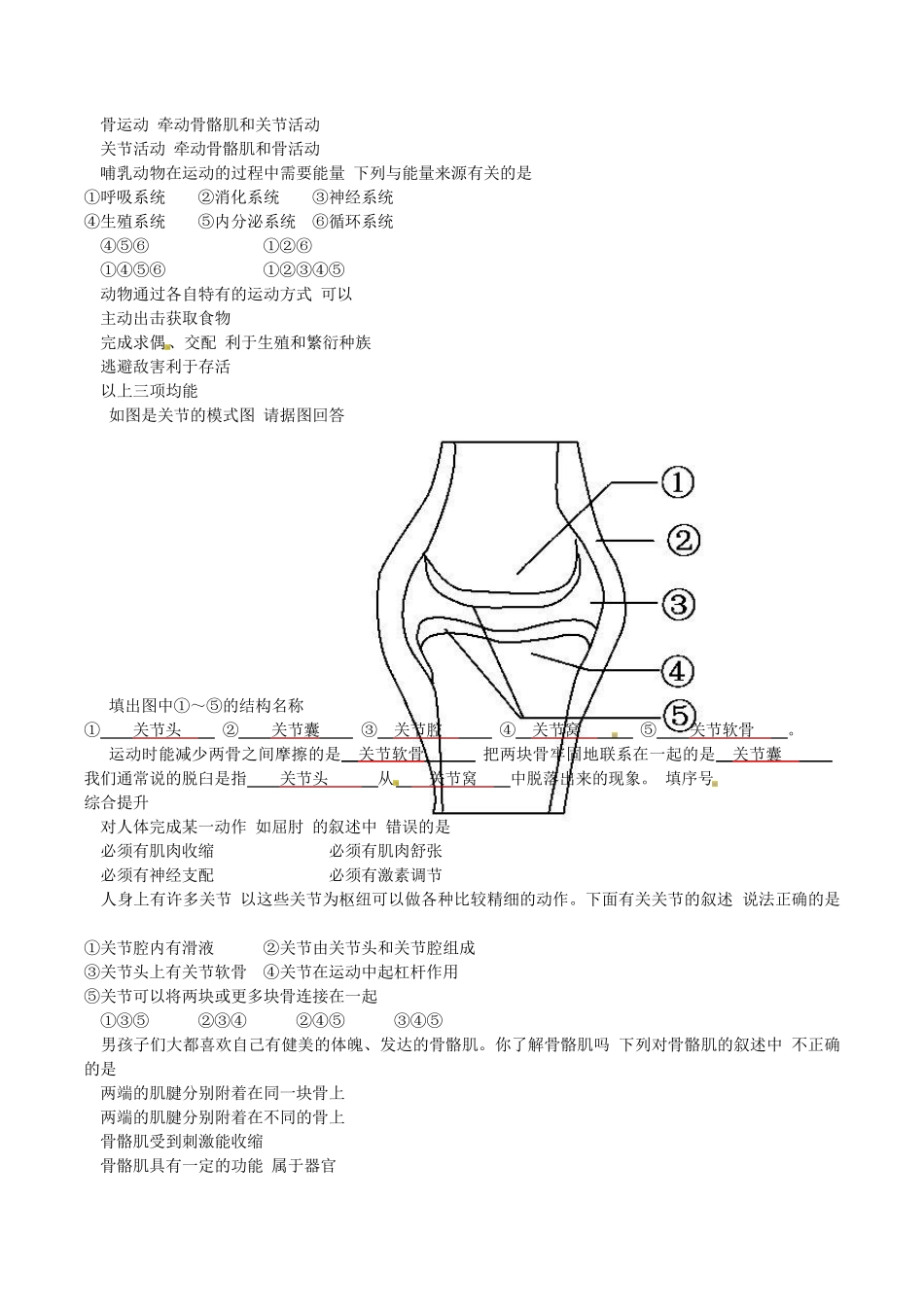 人教版生物八年级上册第二章动物的运动和行为_第3页