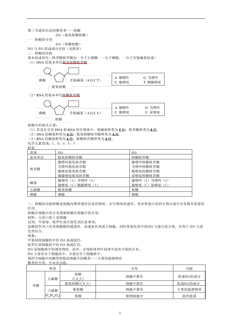 人教版生物必修一的必背知识点_第3页