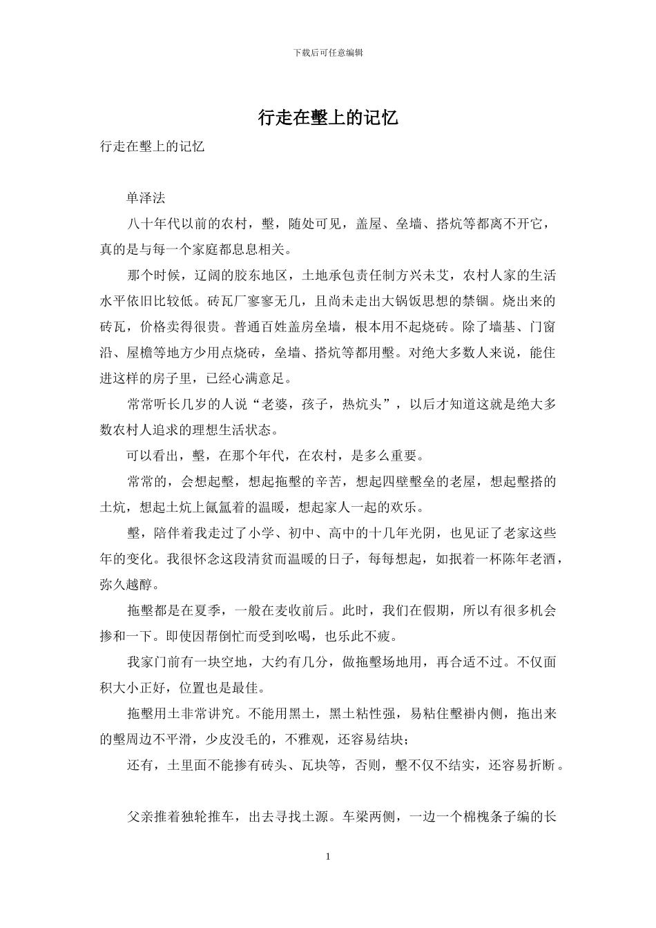 行走在墼上的记忆_第1页