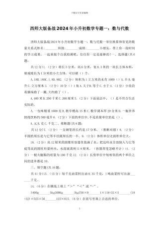 西师大版备战2024年小升初数学专题一：数与代数