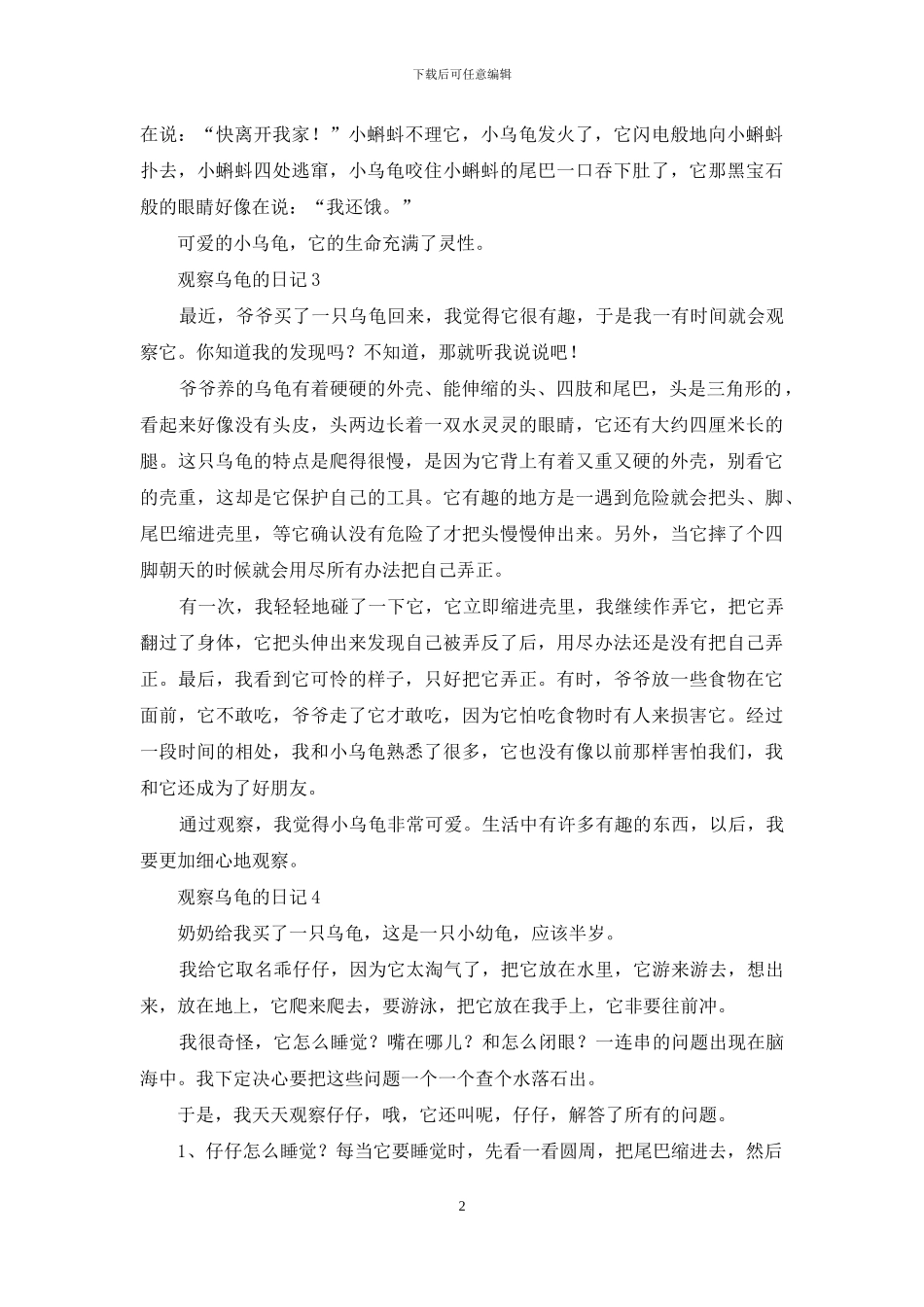 观察乌龟的日记_第2页