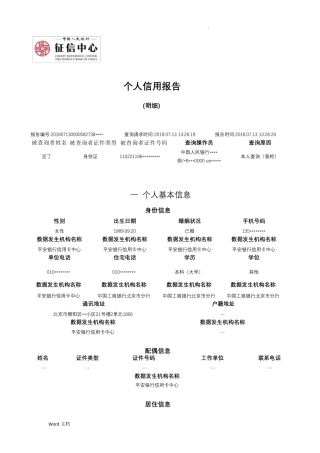 人民银行个人征信报告样本_.可更改
