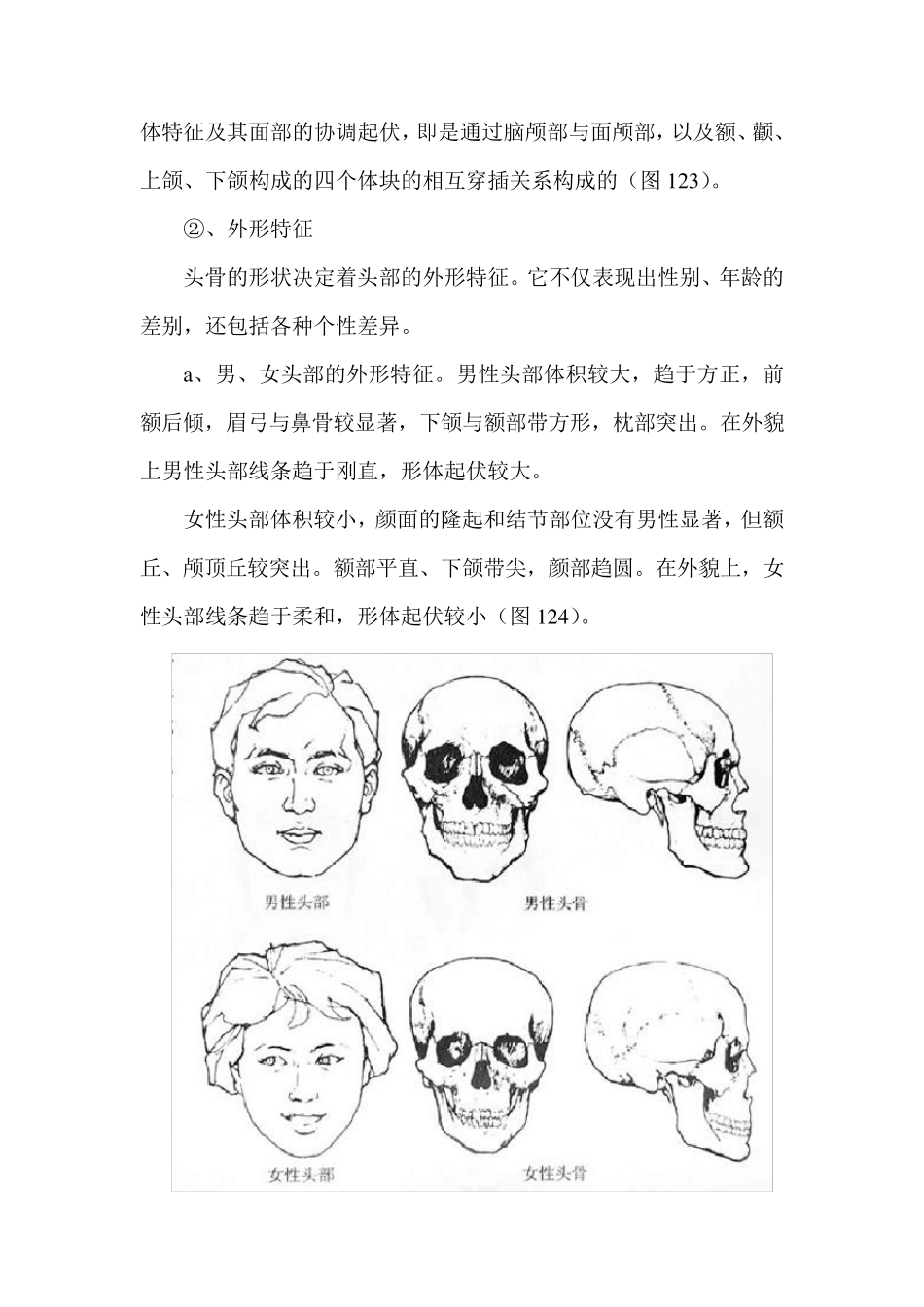 人物素描：人体头部结构图_第2页