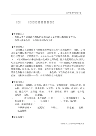 人类体细胞染色体标本制备与核型分析