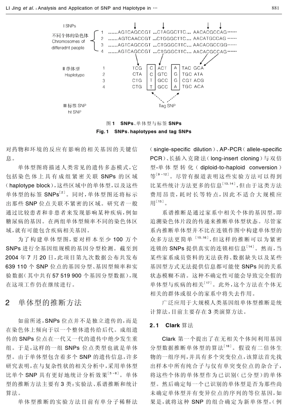 人类基因组单核苷酸多态性和单体型的分析及应用_第3页