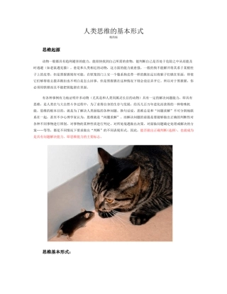 人类思维的基本形式_精简版
