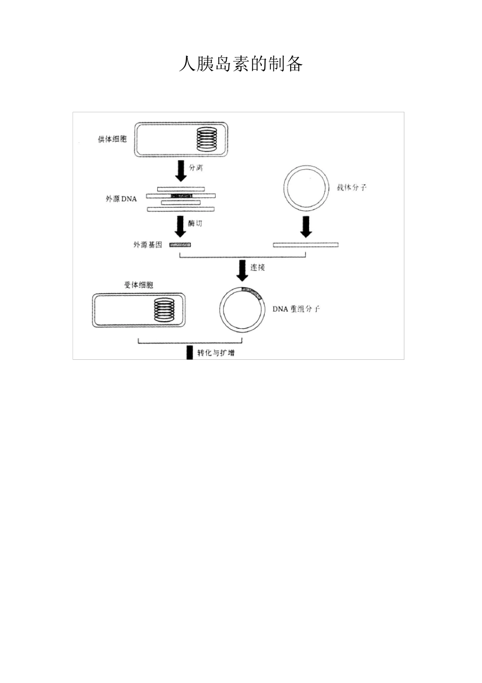 人胰岛素的制备_第1页