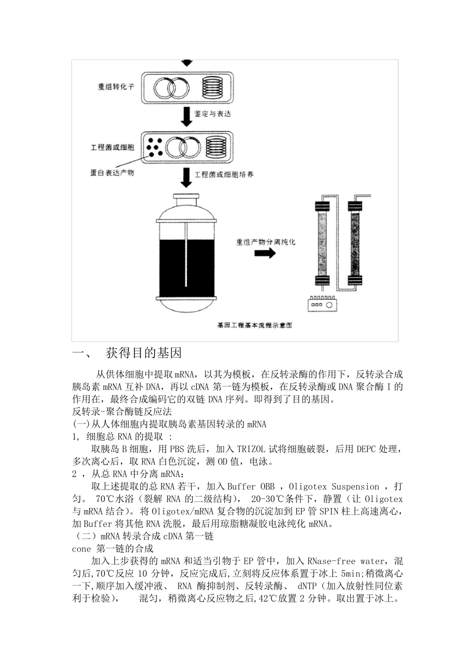人胰岛素的制备_第2页