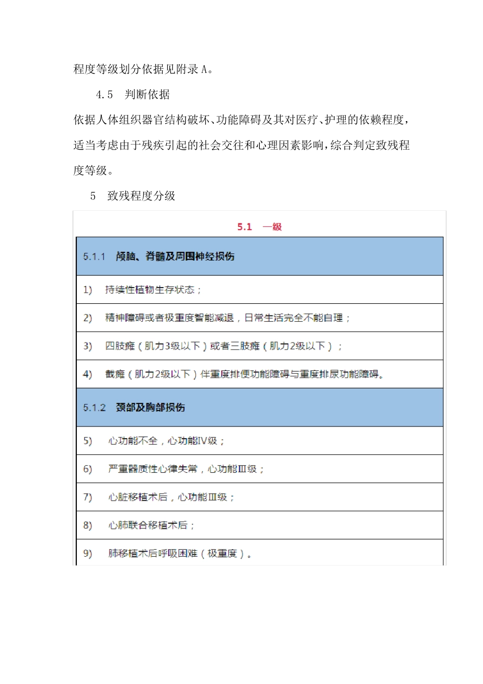 人身损害110级伤残等级认定标准(2023版)_第3页