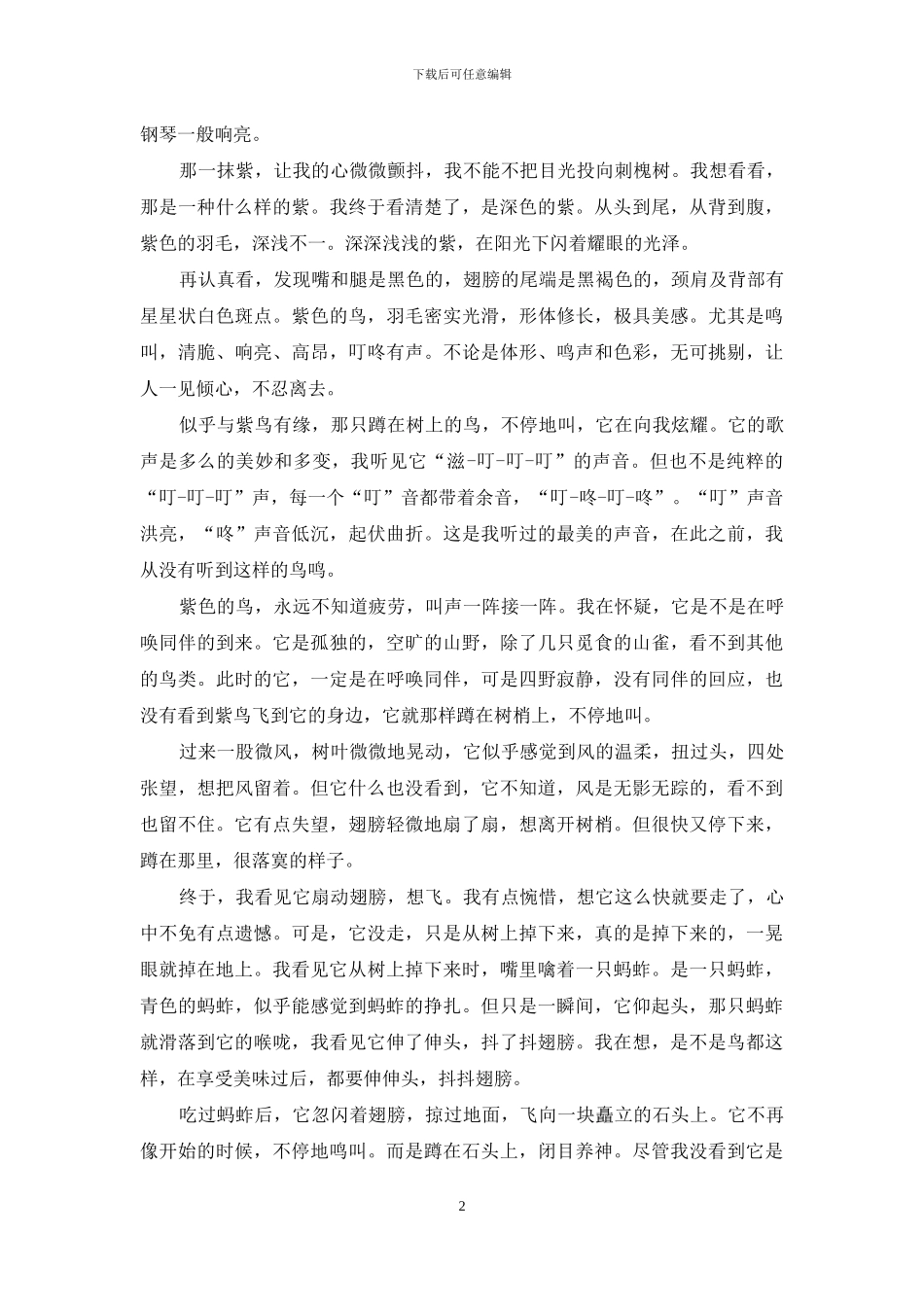 记忆里的那抹紫_第2页