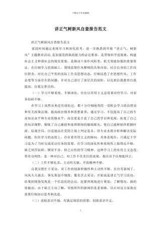 讲正气树新风自查报告范文