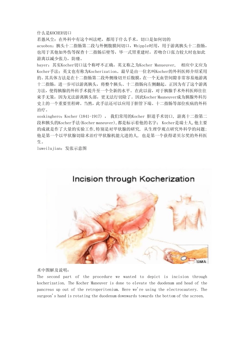 什么是KOCHER切口_第1页