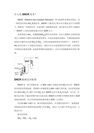 什么是SNCR技术