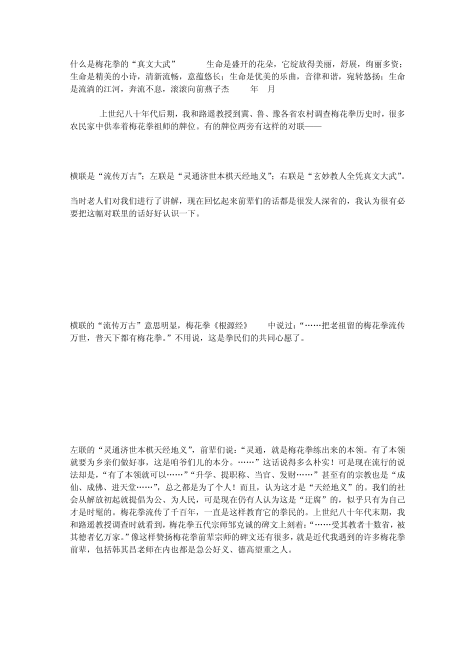 什么是梅花拳的“真文大武”_第1页