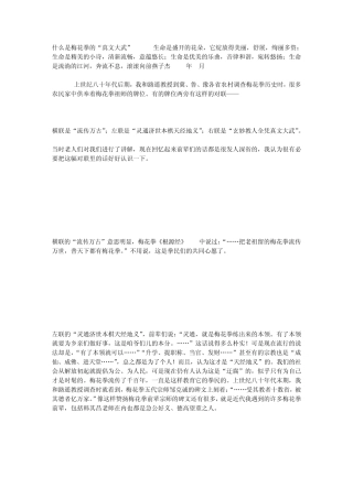 什么是梅花拳的“真文大武”
