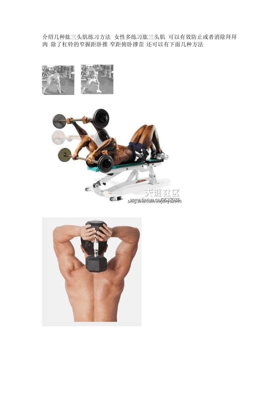 介绍几种肱三头肌练习方法_第1页