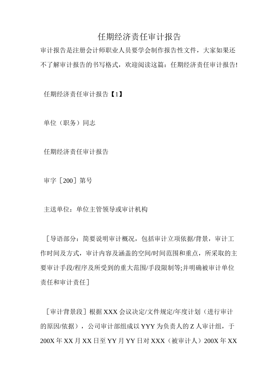 任期经济责任审计报告_第1页