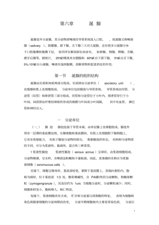 涎腺是外分泌腺剖析
