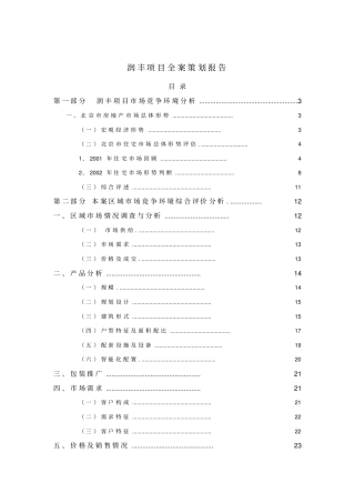 润丰项目全案策划报告