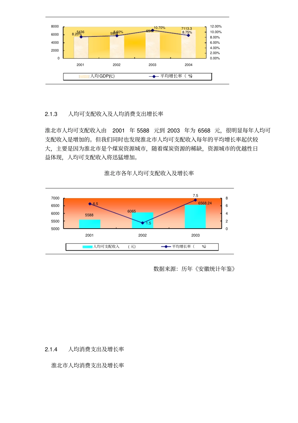 淮北项目可行性分析报告_第3页