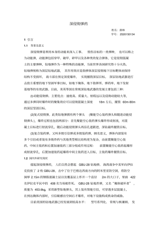 深侵彻弹药资料