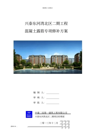 混凝土结构露筋专项修补方案说明