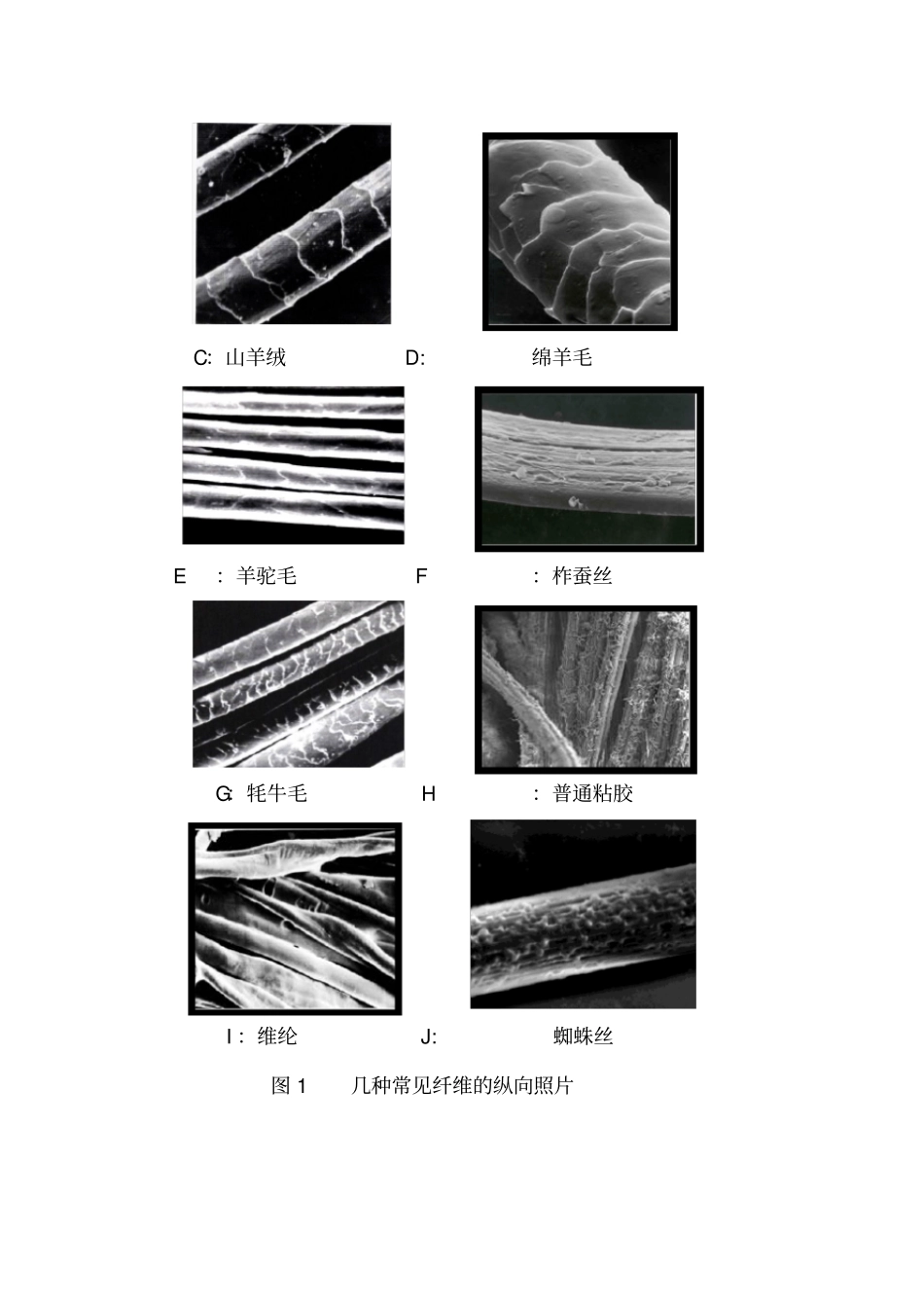 混纺织物中纤维成分的定性和定量分析_第2页
