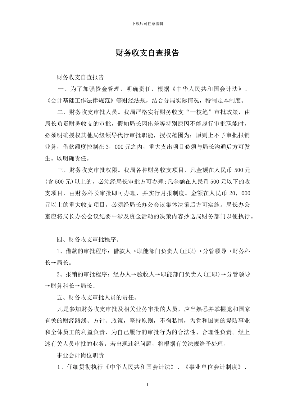 财务收支自查报告_第1页