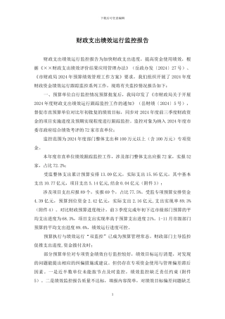 财政支出绩效运行监控报告