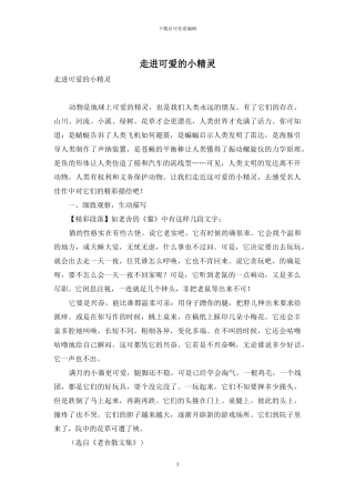 走进可爱的小精灵