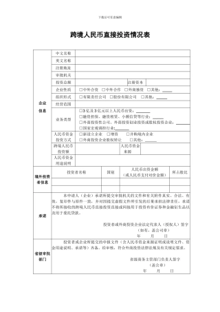 跨境人民币直接投资情况表