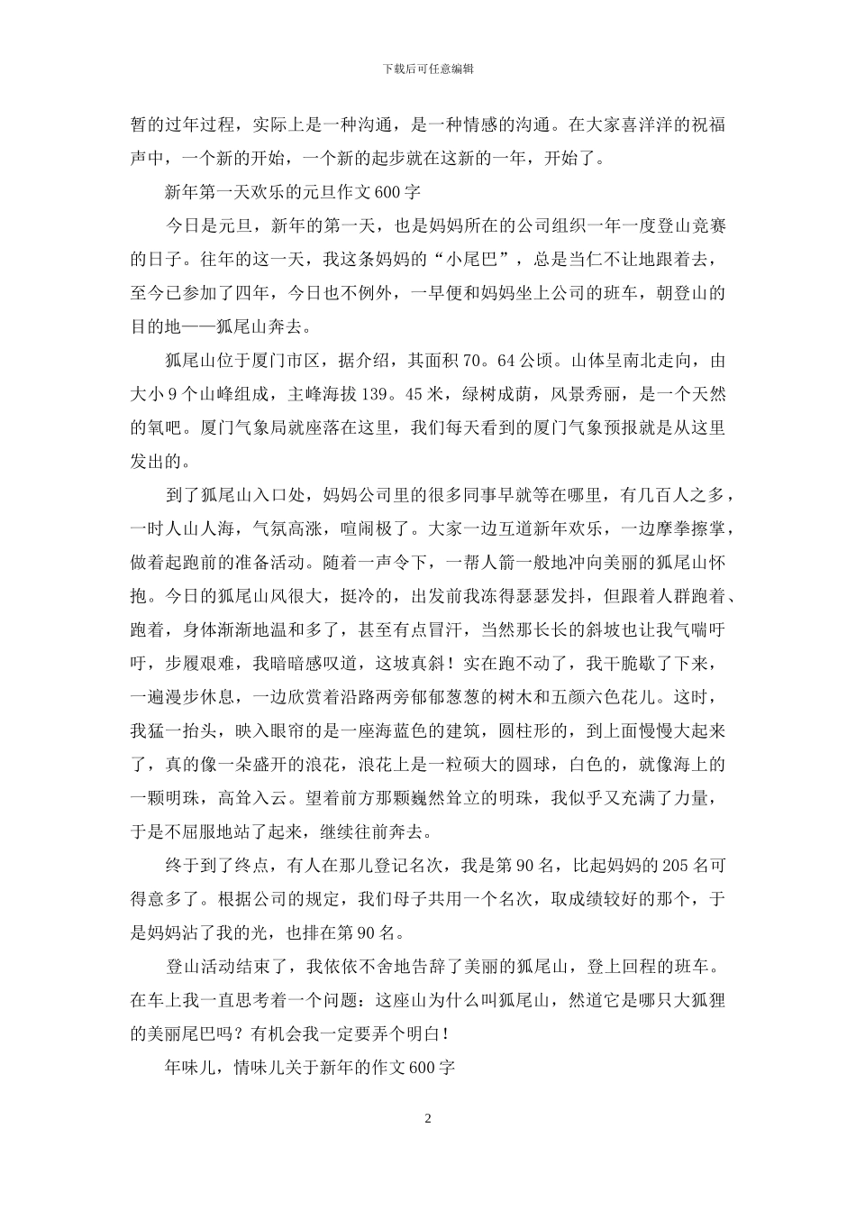 辞旧迎新作文-快乐的新年作文_第2页