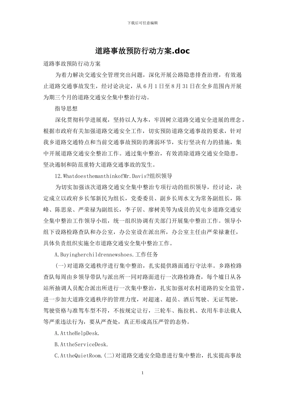 道路事故预防行动方案_第1页