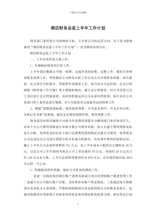 酒店财务总监上半年工作计划
