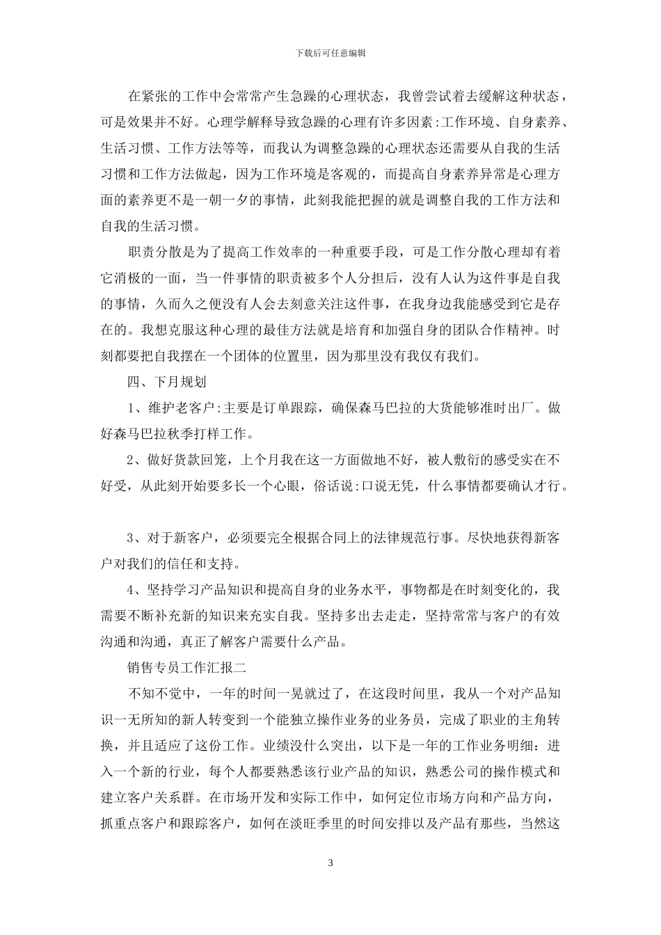 销售专员工作汇报_第3页