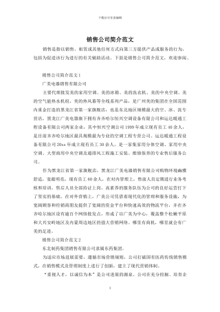 销售公司简介范文