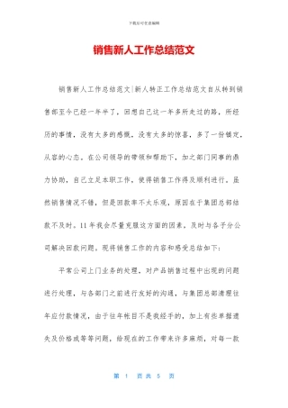 销售新人工作总结范文