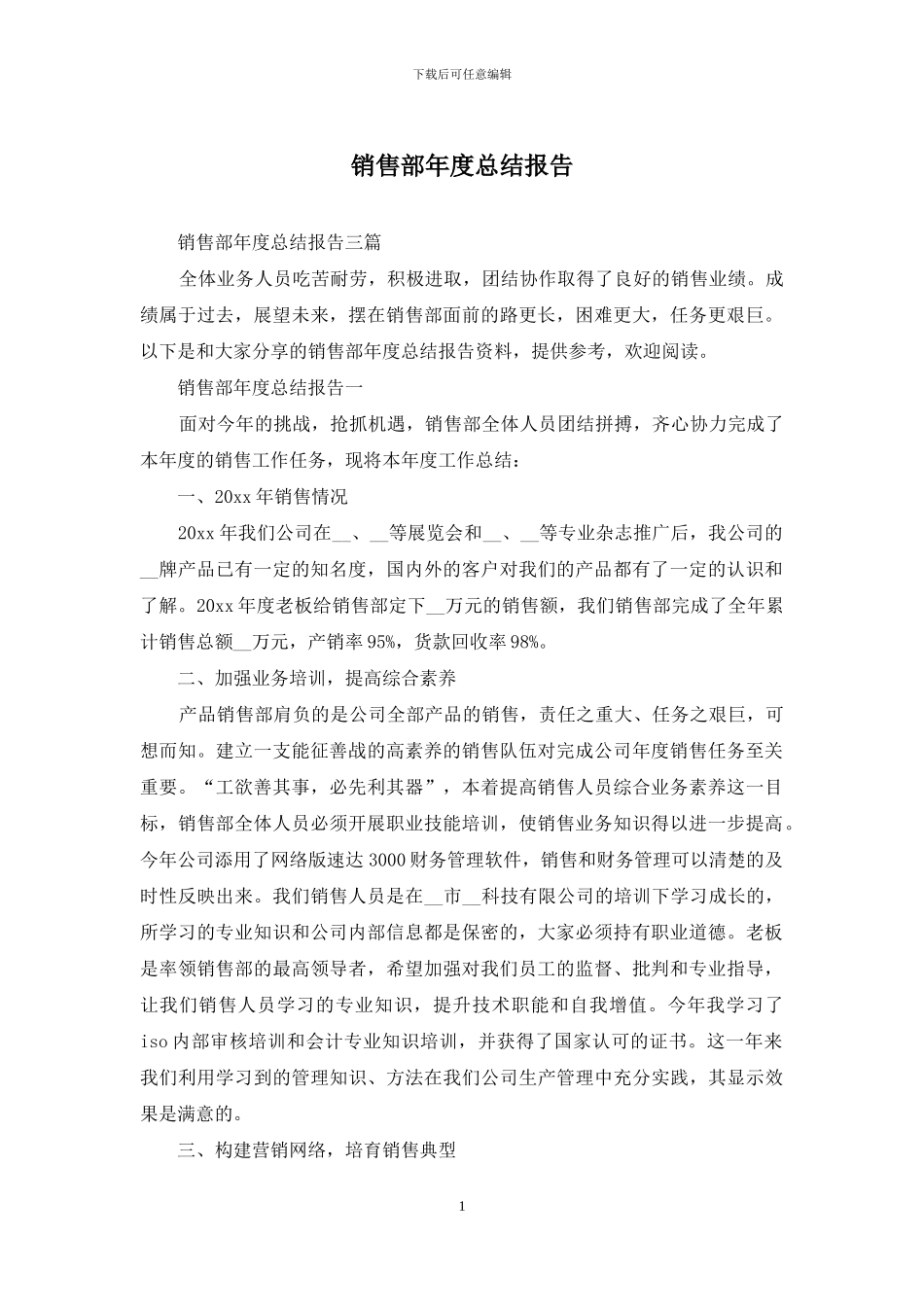销售部年度总结报告_第1页