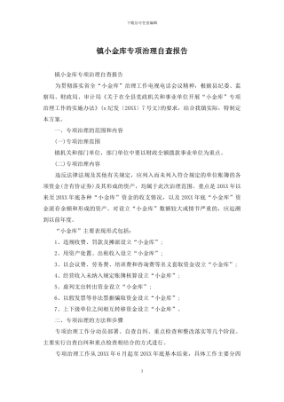 镇小金库专项治理自查报告