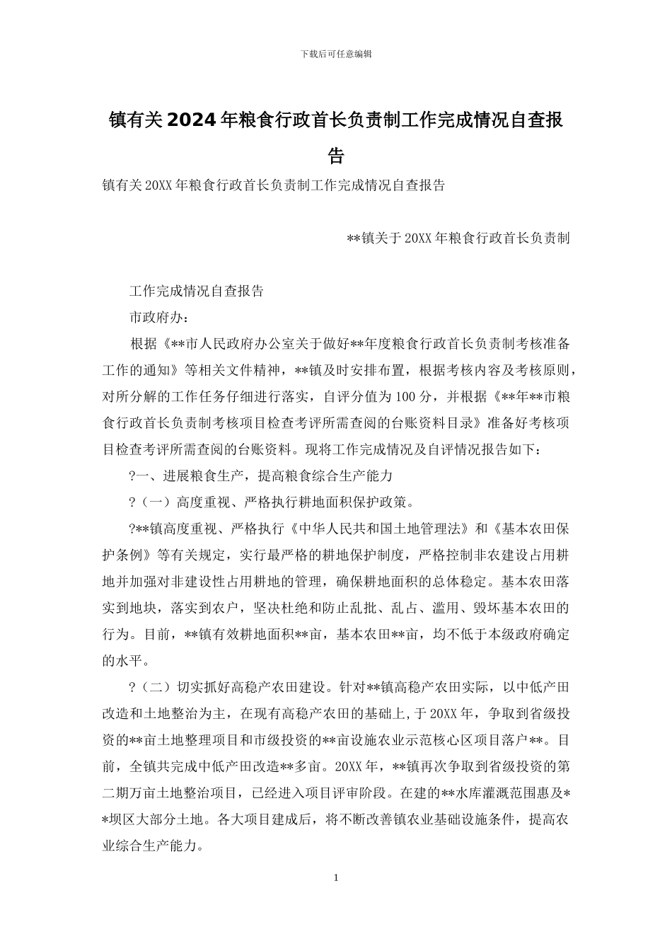 镇有关2024年粮食行政首长负责制工作完成情况自查报告_第1页