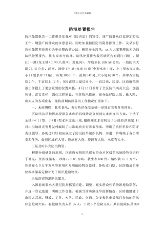防汛处置报告