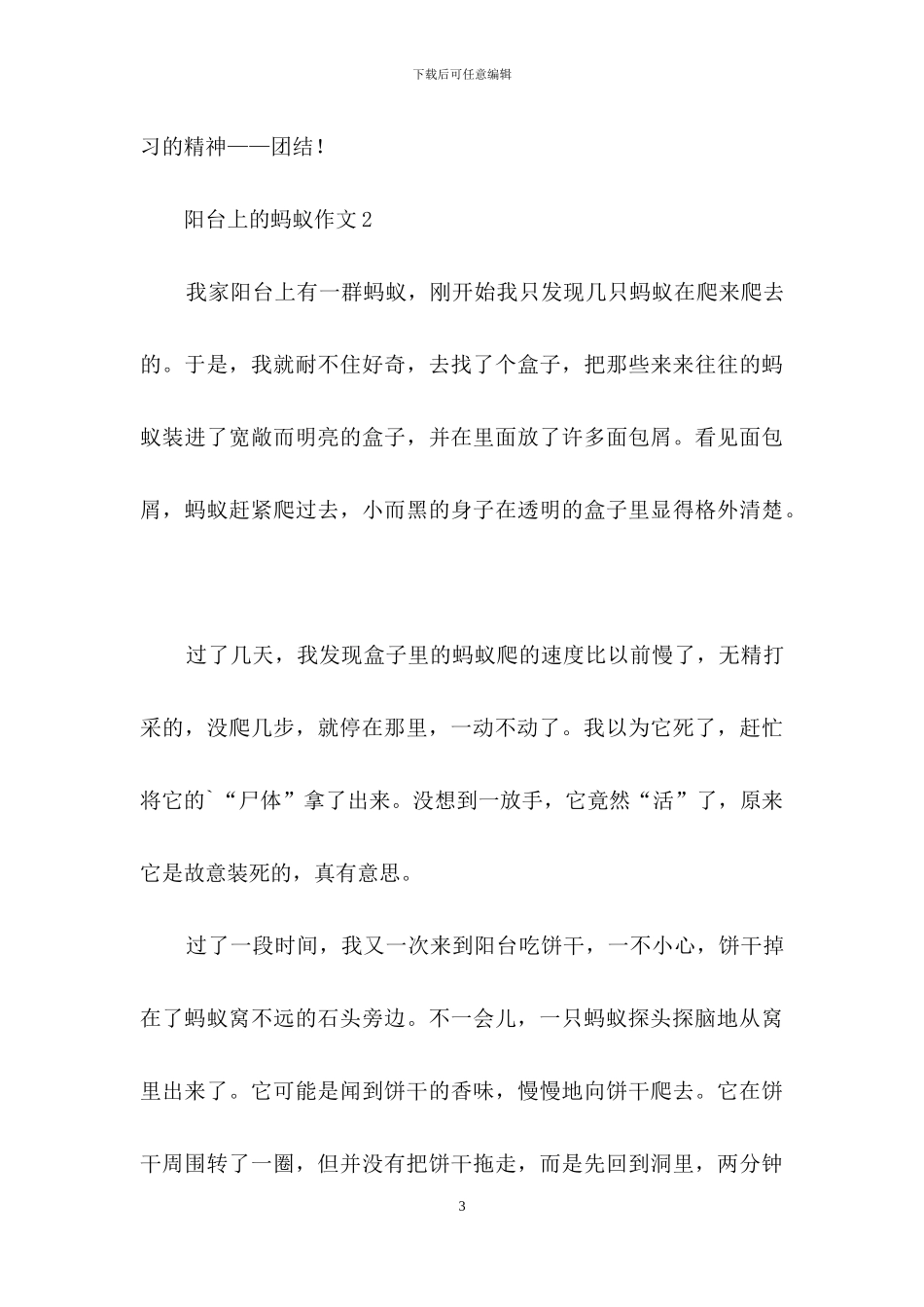 阳台上的蚂蚁作文_第3页