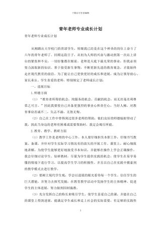 青年教师专业成长计划
