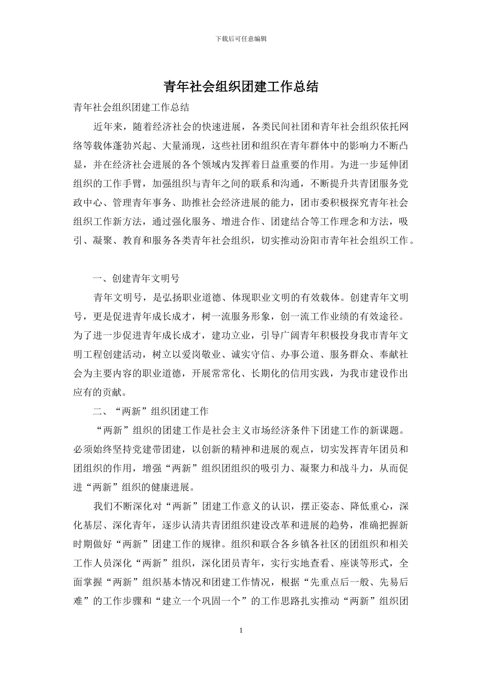 青年社会组织团建工作总结_第1页