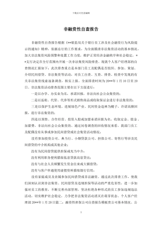 非融资性自查报告