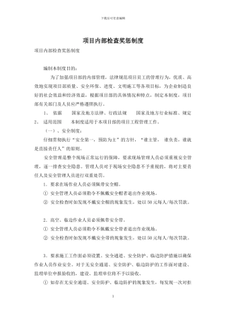 项目内部检查奖惩制度