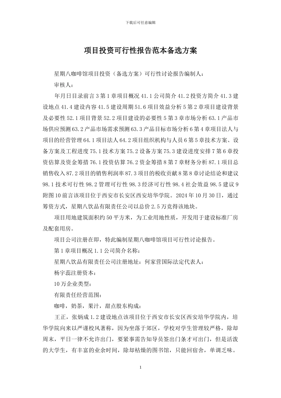 项目投资可行性报告范本备选方案_第1页